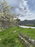 Экскурсия "Гарни, Гегард и Симфония камней (опция) - групповой тур" - фото отзыва 2