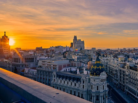 Памятник Медведь и земляничное дерево