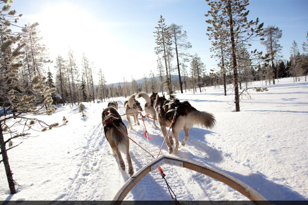 Виды Большое новогоднее путешествие по Карелии