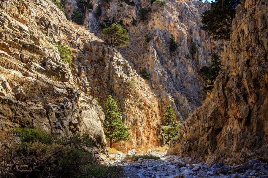 Ущелье Имброс (из Ретимно) - фото 5