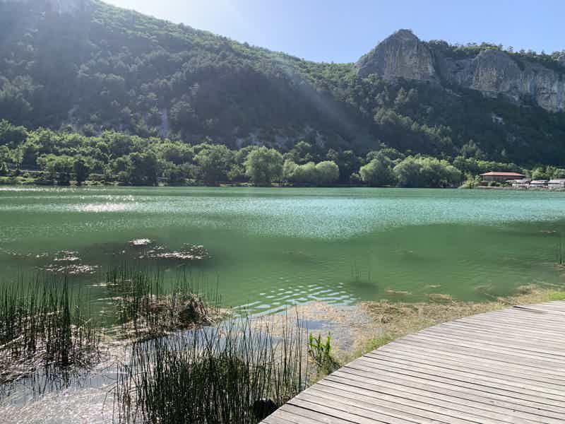 Великолепная лаванда Крымского Прованса и винодельня Фотисаль - фото 1