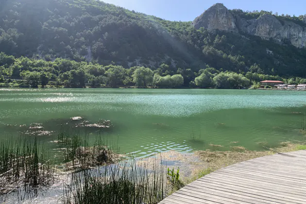 Великолепная лаванда Крымского Прованса и винодельня Фотисаль — фото 2