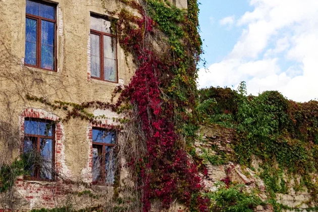 Главное изображение экскурсии - Путешествие на восток: Черняховск и Гусев или Гвардейск (из Светлогорска)