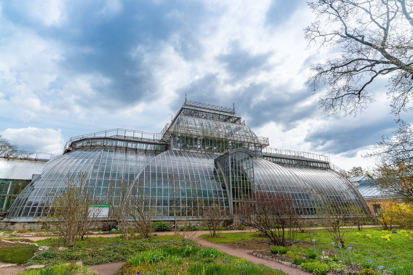 Ботанический сад Петра Великого: описание, адрес, время и режим работы 2024