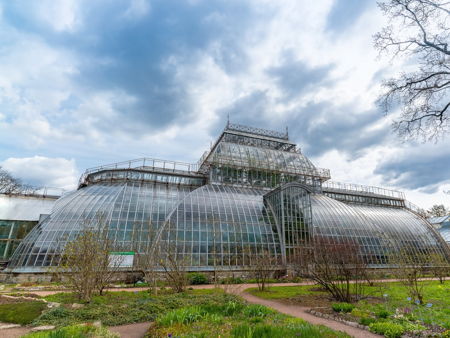 Ботанический сад Петра Великого