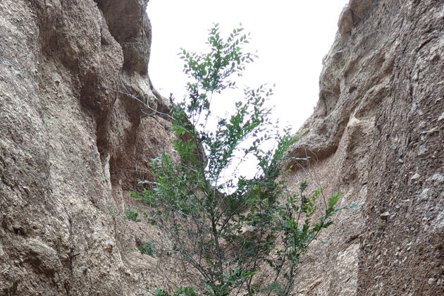Виды Чарынский каньон по уникальному авторскому маршруту «Кольцо Айдхара»