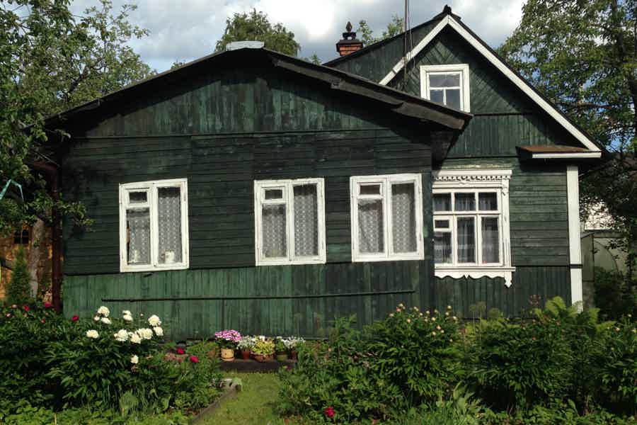 Interactive tour at the real Russian Dacha with locals. - photo 1