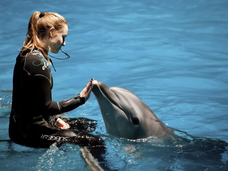 Визит-центр