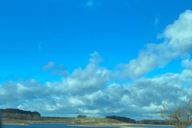 Виды Экскурсия «Лес Генриха» – в край императорских угодий» (из Зеленоградска)