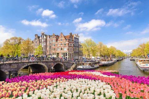 Авторская пешеходная нескучная экскурсия по Амстердаму