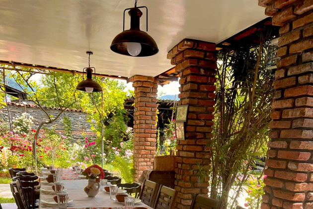 Виды День винограда с тамадой: Сезонный праздник Ртвели