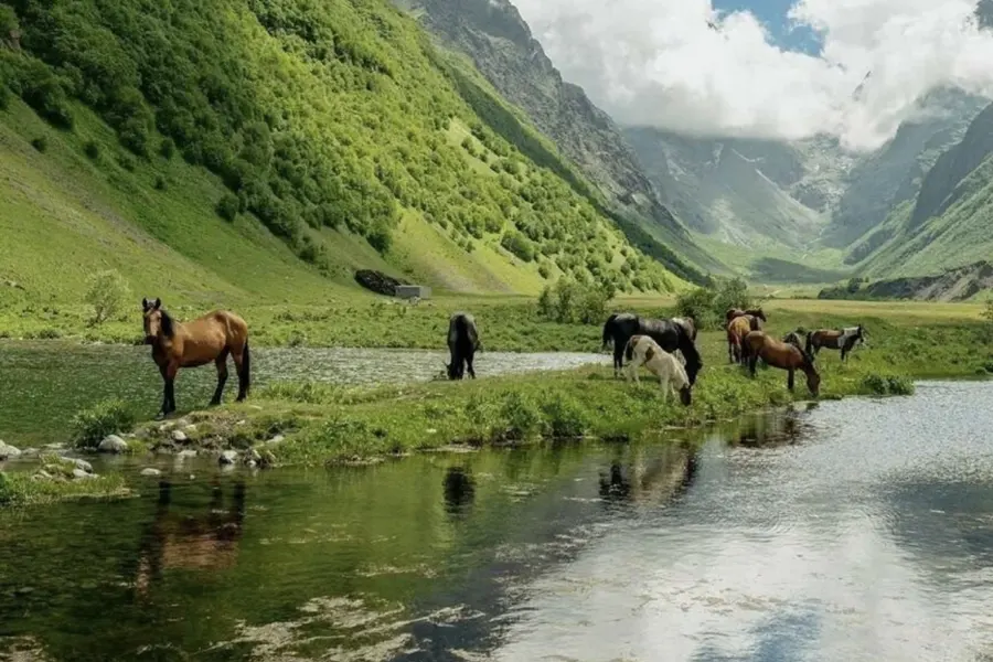 Это Осетия! Путешествие в мини-группе — фото 1