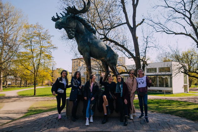 Виды Иммерсивная прогулка по Выборгу