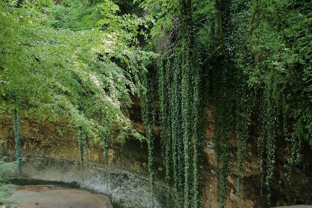 Сухум, Черниговка, Кындыг и грязевые ванны  — фото 7