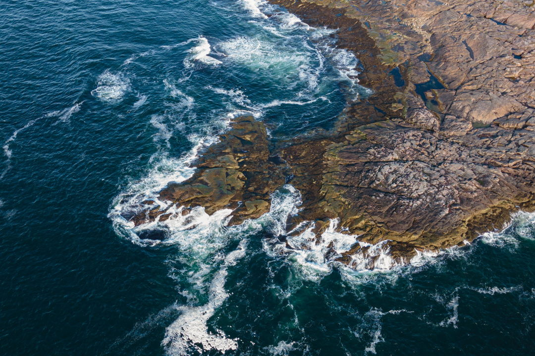 Красоты Баренцева моря: Морская прогулка в поисках китов — фото 4
