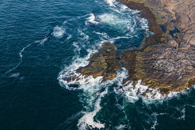 Виды Красоты Баренцева моря: Морская прогулка в поисках китов