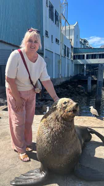 Пингвины, Тюлени и мыс Доброй Надежды: день у океана - фото 5