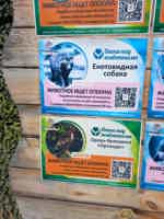 Экскурсия "Сафари-парк и релакс в трёх бухтах Уссурийского залива" - фото отзыва 3