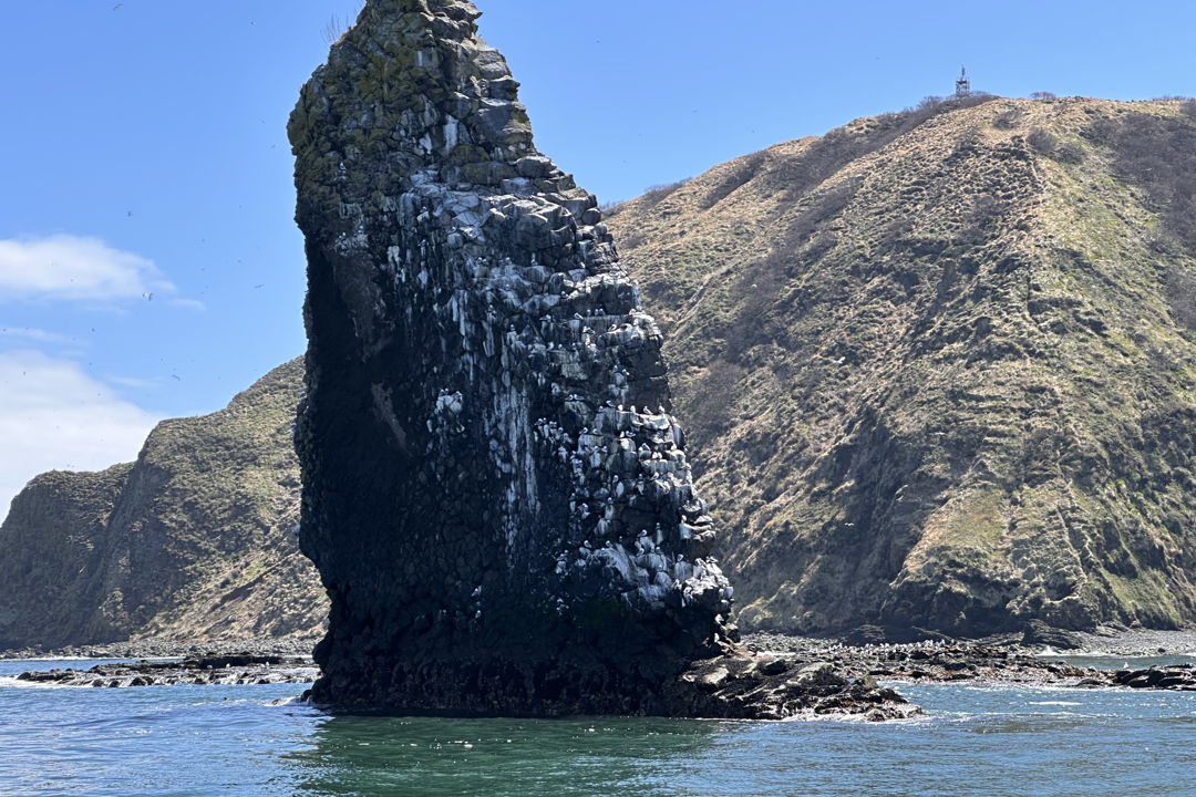 Морская прогулка к острову Старичков: морская рыбалка и крабовое сафари — фото 4