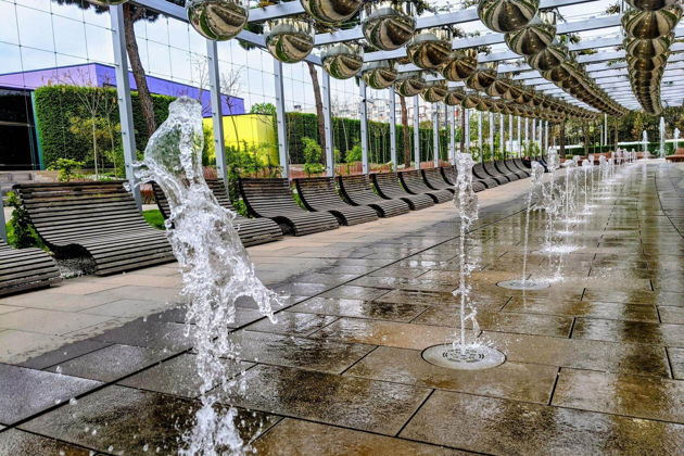 Виды Однодневный тур в Краснодар и парк Галицкого из Ростова-на-Дону