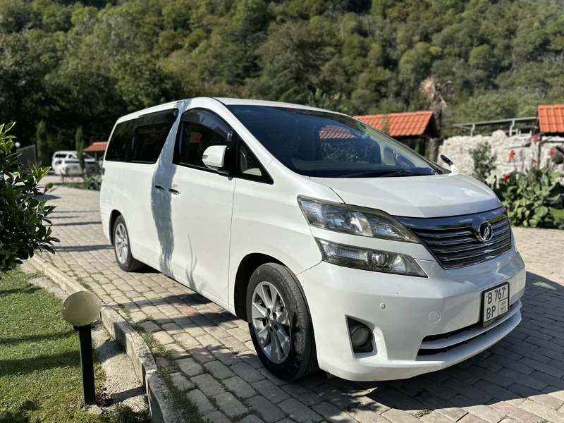 В Абхазию на минивэне Toyota, Volkswagen: Гагра, Мандариновый сад и Рица — фото 9