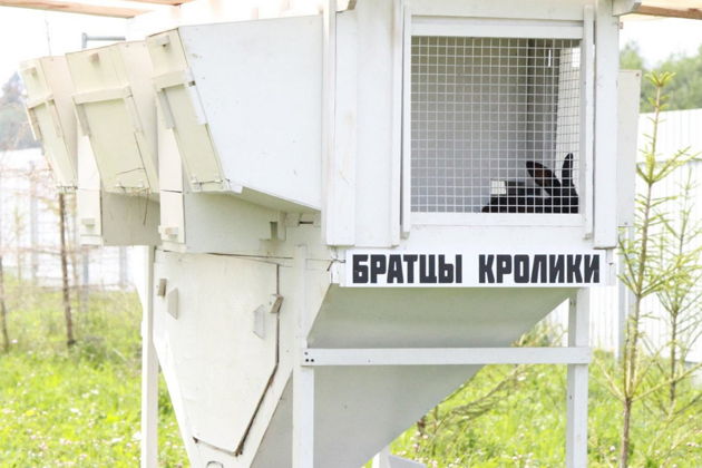 «За Можай по доброй воле!»: Можайск — Верея — Тушков городок