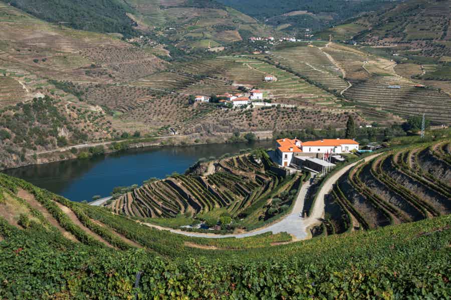 Private Douro Valley Trip with Wine Tasting & Booking Service - photo 3