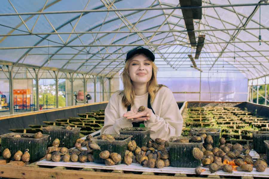 Экскурсия по улиточной ферме "Улитки ВВерх" - фото 2