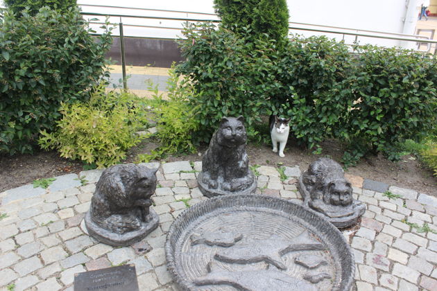 Виды Путешествие в Древнюю Самбию