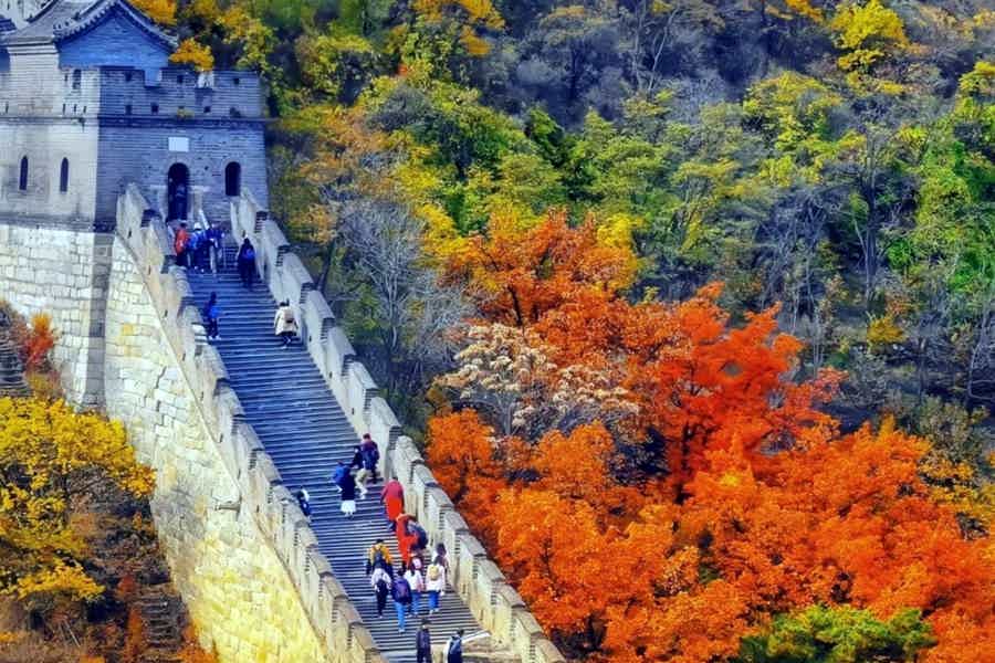 Великая Китайская стена и чайная церемония (от и до аэропорта) - фото 5