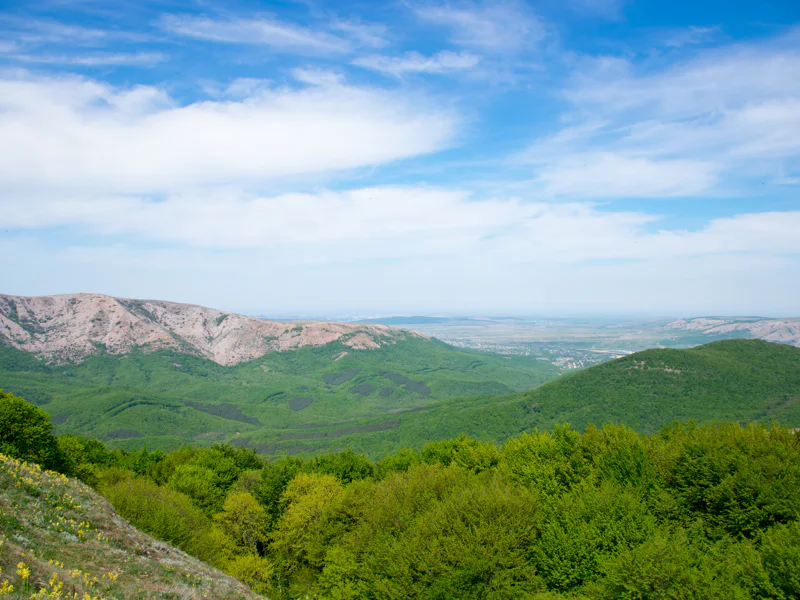 Прогулка по сказочному крымскому лесу: Иван да Марья — фото 7, Алушта | Покатаем