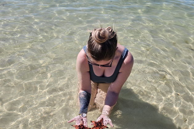 Экзотика Фукуока: сафари-тур и отдых на Звёздном пляже