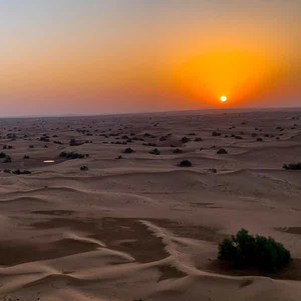 Покорить Дубай: полет на вертолете и сафари в пустыне - фото 10