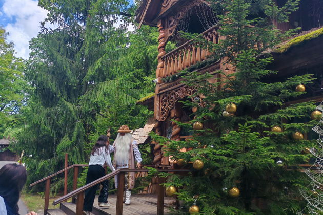 Экскурсия в Беловежскую Пущу на весь день из Минска