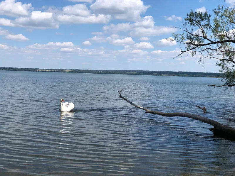 Экскурсия Виштынецкое озеро — европейский Байкал — фото 3, Калининград | Покатаем