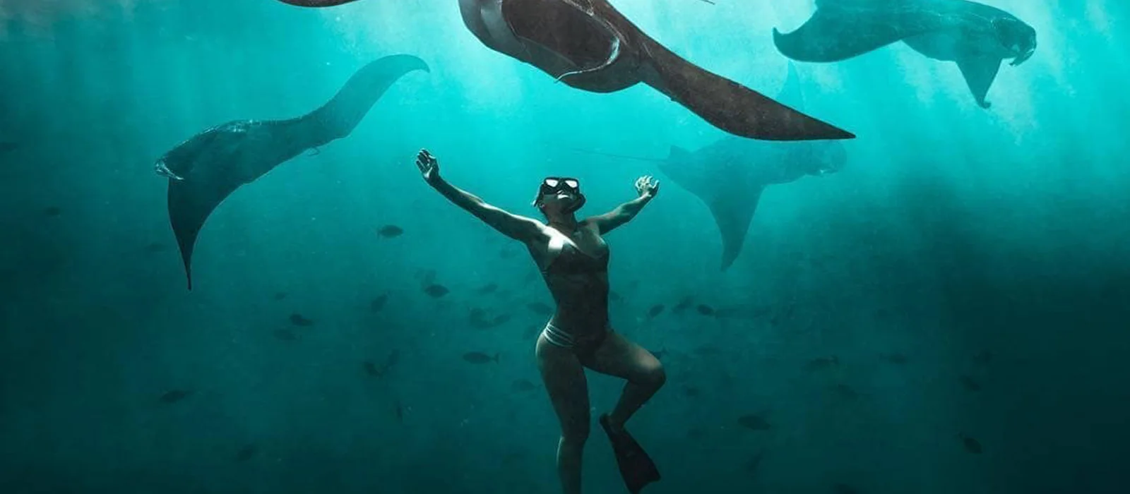 Снорклинг с Manta Ray — экскурсия, Бали, Индонезия | Покатаем