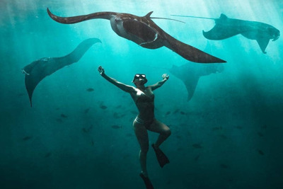 Снорклинг с Manta Ray — Бали