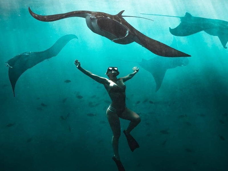 Снорклинг с Manta Ray - экскурсия в Бали, Индонезия