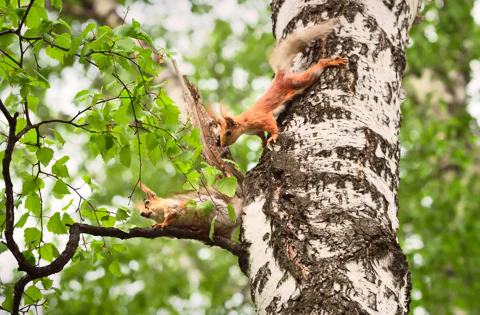 Парки в Нижнем Новгороде