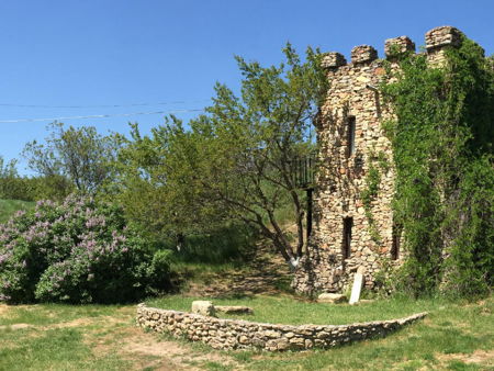 Археологический заповедник Танаис 