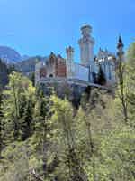 Экскурсия "Сказочные замки Баварского короля: Нойшванштайн и Линдерхоф" - фото отзыва 3