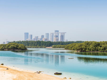 Национальный мангровый парк