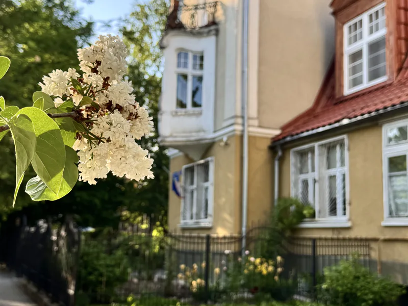 Тайны Амалиенау: частная жизнь за фасадами — фото 4, Калининград | Покатаем