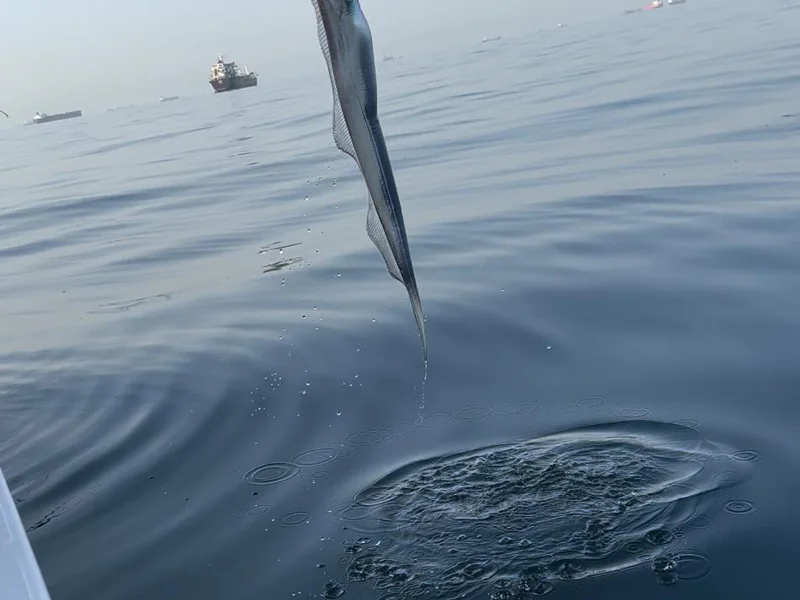 Fishing in Fujairah: Tuna, Mahi-Mahi — photo 6, Dubai | Pokataem