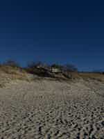 Экскурсия "Индивидуальная поездка на Куршскую косу, в Зеленоградск и замок Нессельбек " - фото отзыва 3