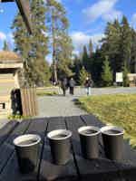 Экскурсия "Чудо Карельской природы — Мраморный каньон Рускеала" - фото отзыва 3