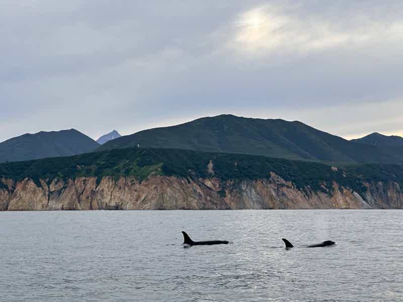 Морская прогулка в Бухту Русскую: высадка, рыбалка и крабовое сафари - фото 2