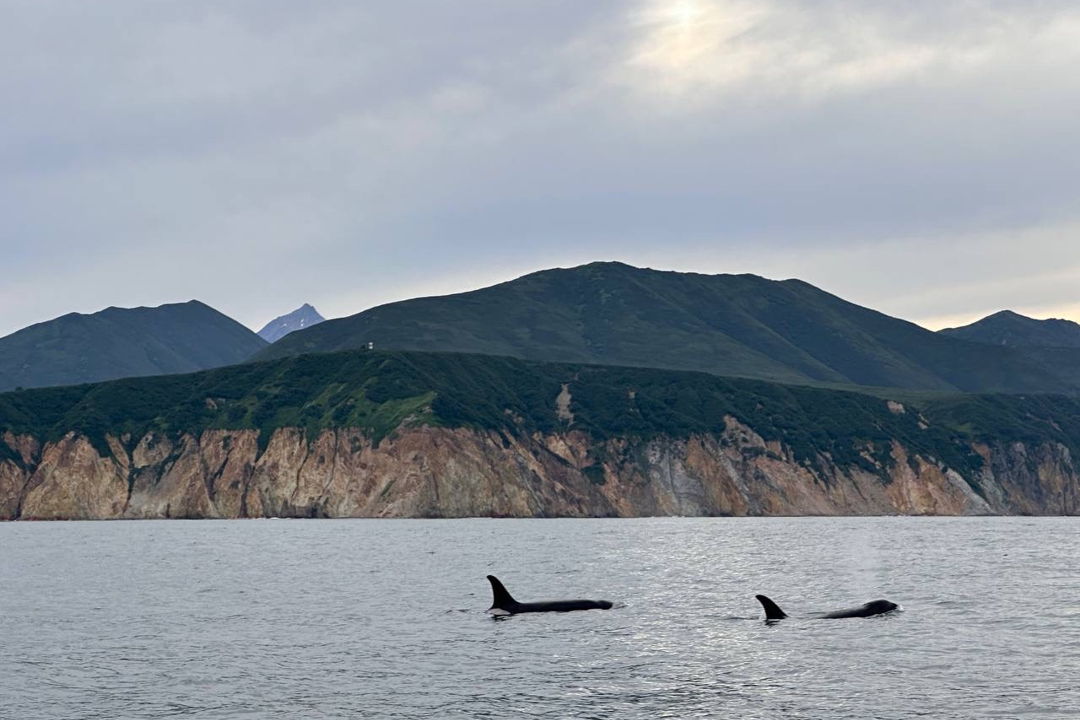 Морская прогулка в Бухту Русскую: высадка, рыбалка и крабовое сафари — фото 2