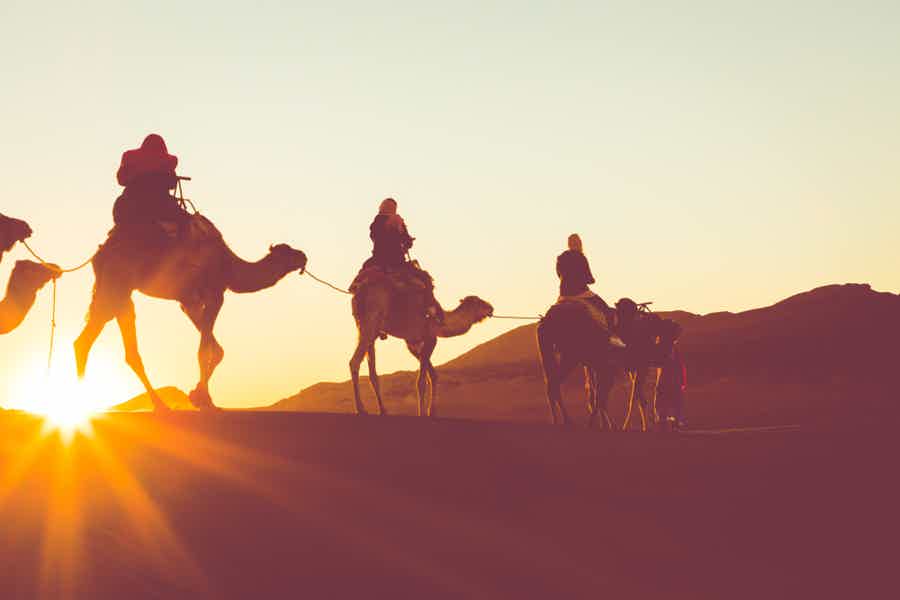 Наблюдение за звездами в пустыне на верблюде + ужин (англ. сопровождение) - фото 1