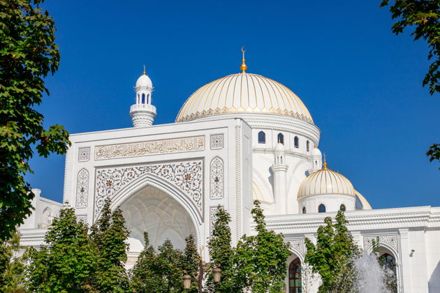 Виды Путешествие в Чечню: Шали, Грозный и Аргун